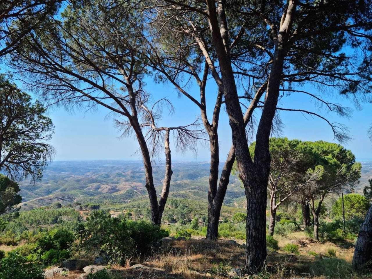 Quinta Da Idalina Villa Monchique Kültér fotó