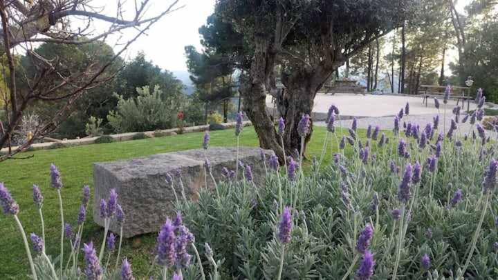 Quinta Da Idalina Villa Monchique Kültér fotó