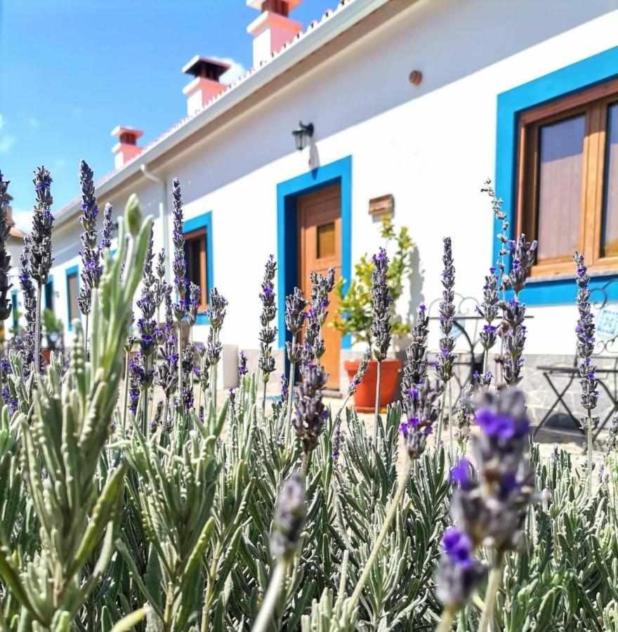 Quinta Da Idalina Villa Monchique Kültér fotó