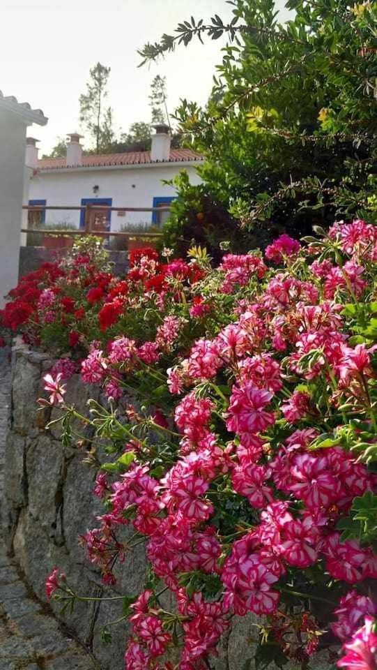 Quinta Da Idalina Villa Monchique Szoba fotó