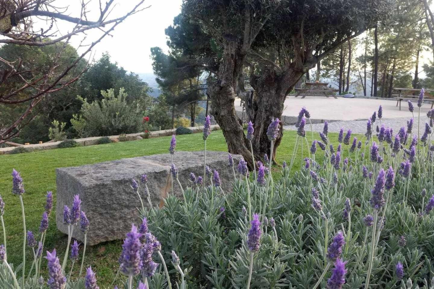Quinta Da Idalina Villa Monchique Szoba fotó